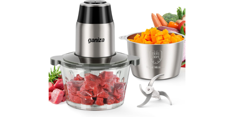 Ganiza Food Processors Review
